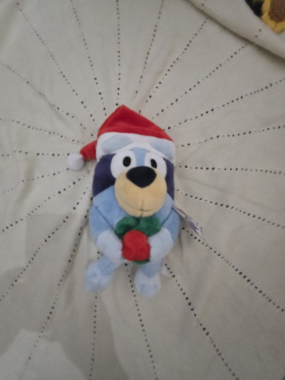 Bluey Christmas - Picture 2 of 5